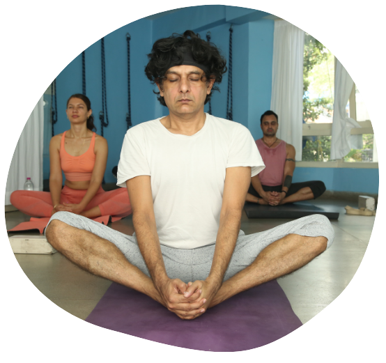 Schools of Yoga